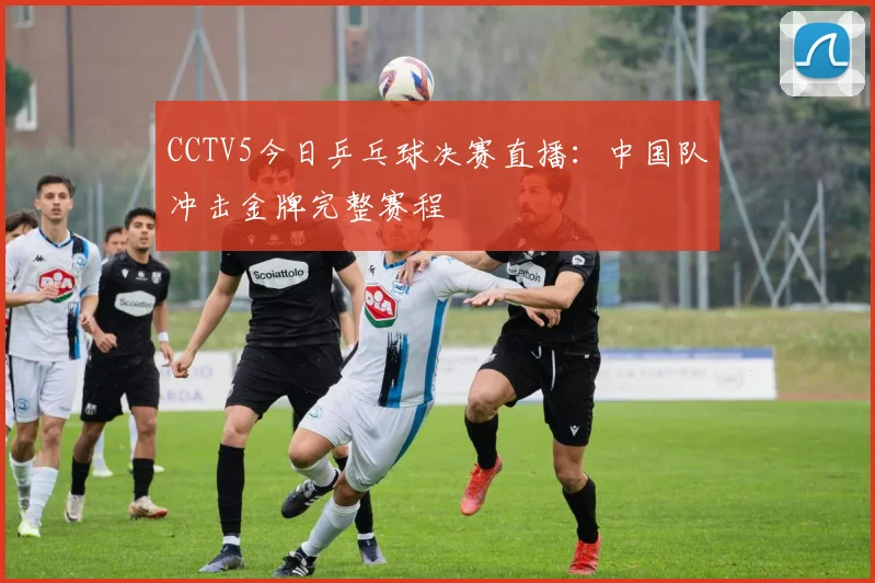 CCTV5今日乒乓球决赛直播：中国队冲击金牌完整赛程