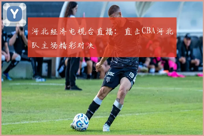 河北经济电视台直播:直击CBA河北队主场精彩对决