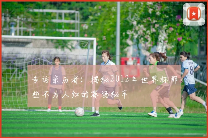 专访亲历者：揭秘2012年世界杯那些不为人知的赛场秘辛