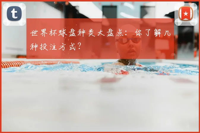 世界杯球盘种类大盘点：你了解几种投注方式？
