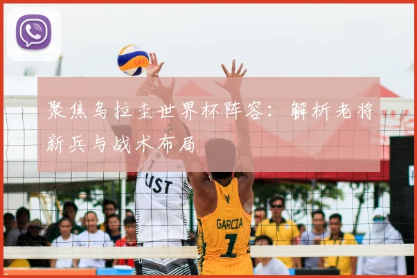 聚焦乌拉圭世界杯阵容:解析老将新兵与战术布局
