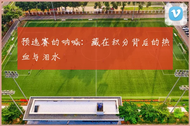 预选赛的呐喊：藏在积分背后的热血与泪水