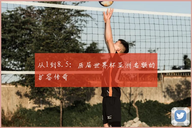 从1到8.5:历届世界杯亚洲名额的扩容传奇