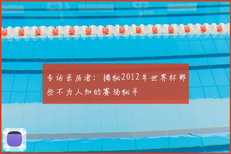 专访亲历者：揭秘2012年世界杯那些不为人知的赛场秘辛