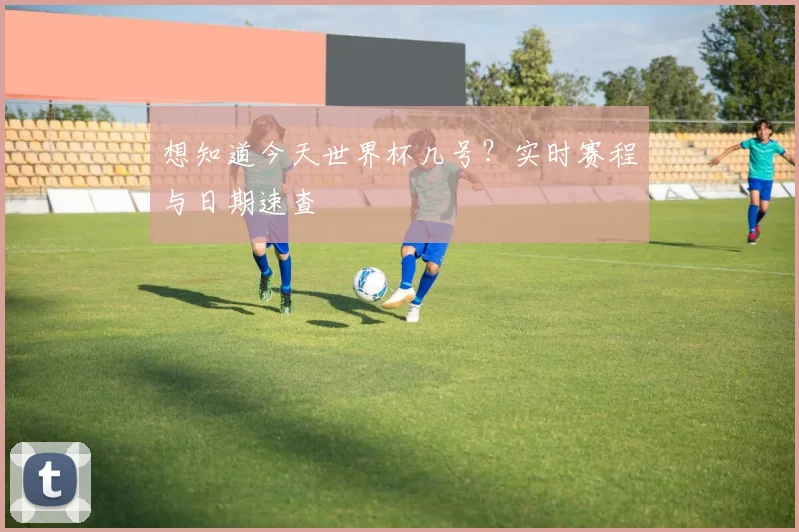 想知道今天世界杯几号?实时赛程与日期速查